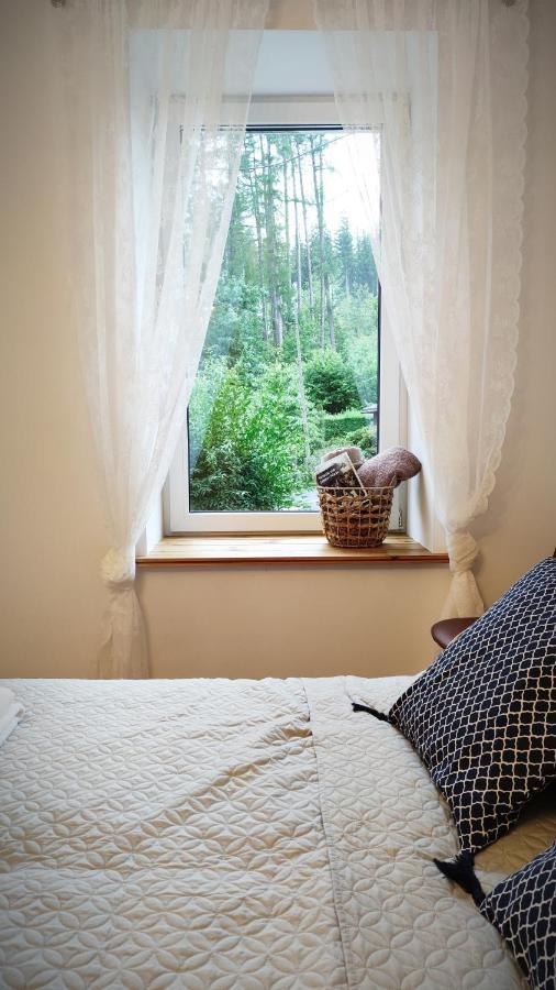 B&D Apartament Chelmiec Apartment Валбжих Екстериор снимка